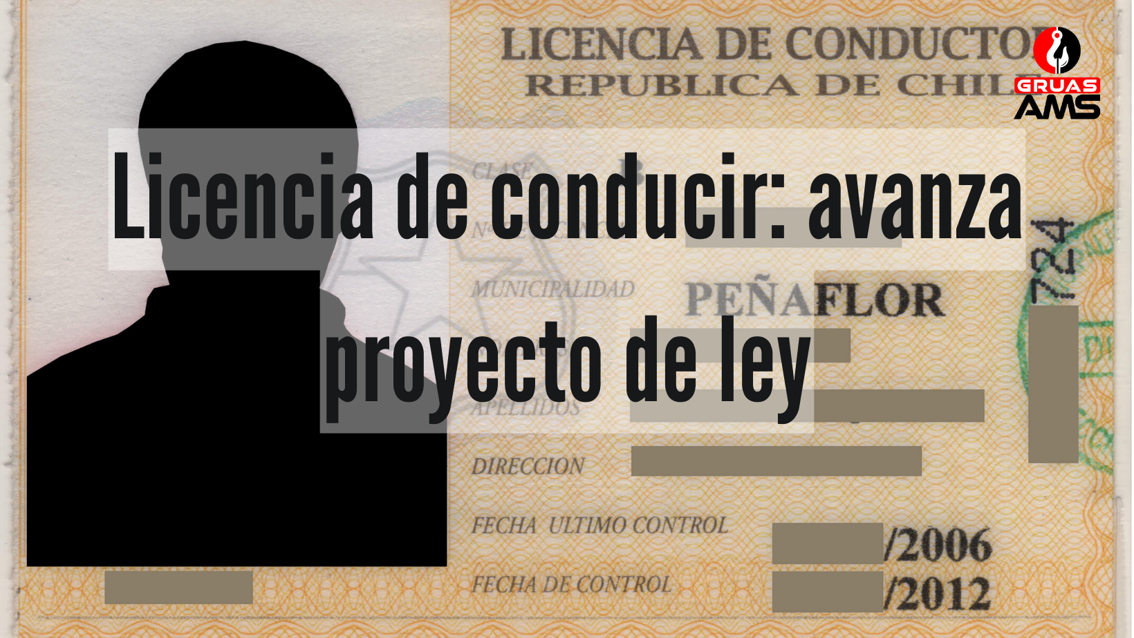 Licencia de conducir: avanza proyecto de ley